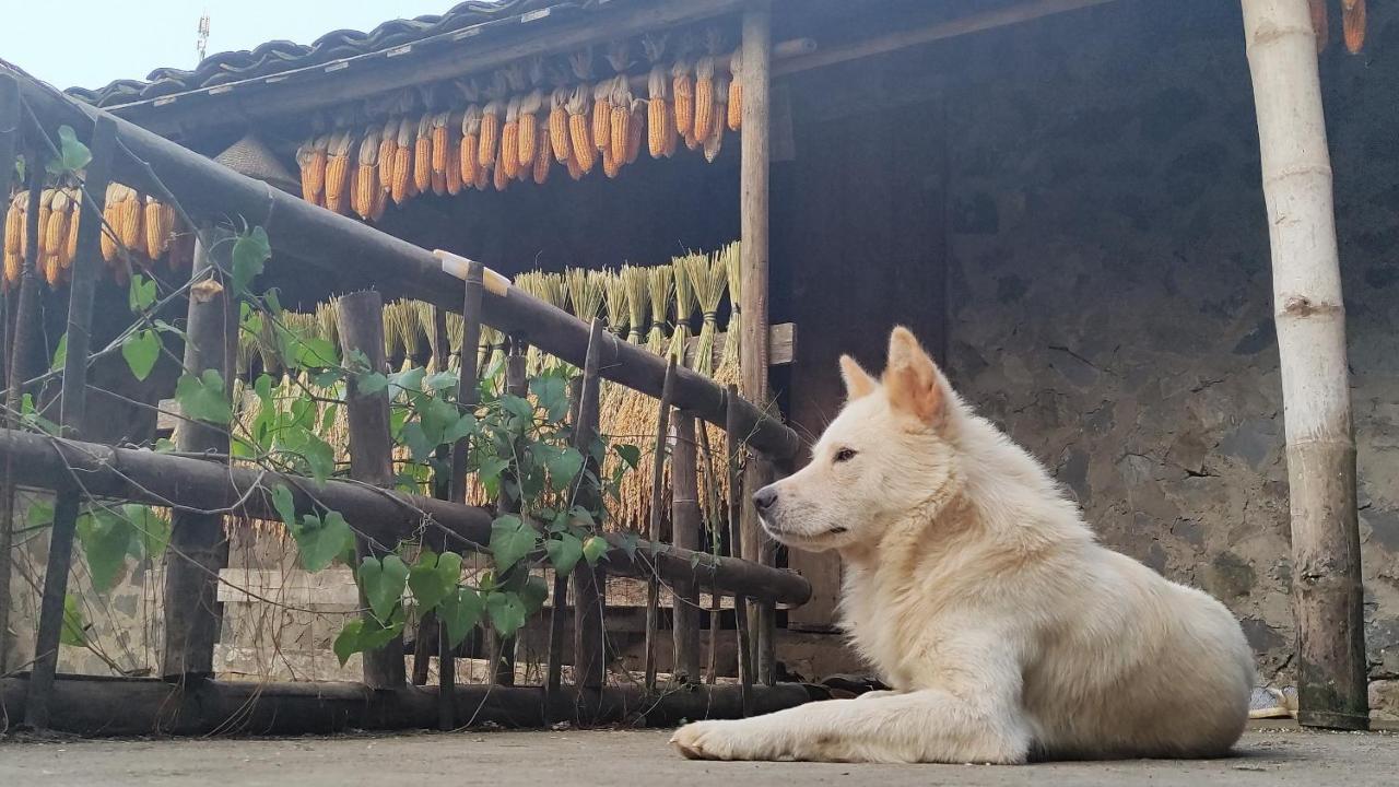 Hoang Cong Ban Gioc Homestay Cao Bang Exteriör bild